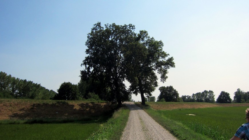 By bike in Ticino Park