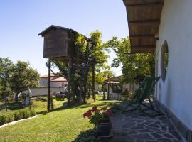 the treehouse in Agriturismo l'Aperegina