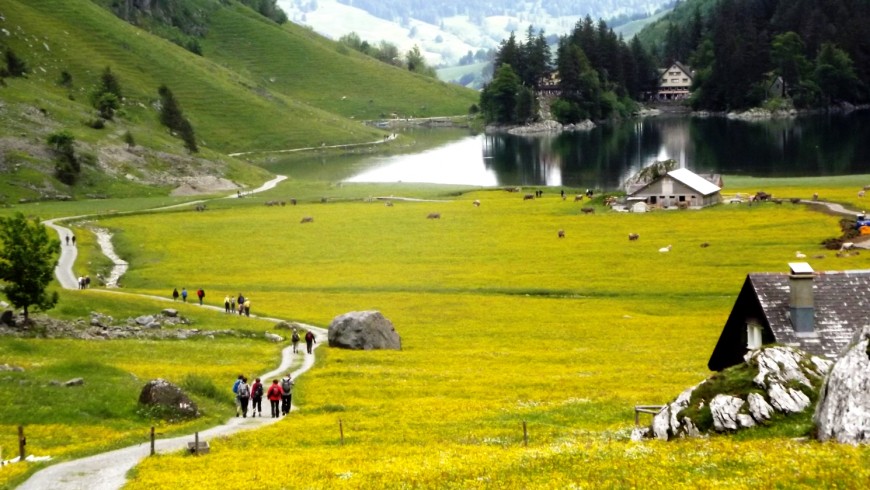 In the train towards Appenzell, Switzerland