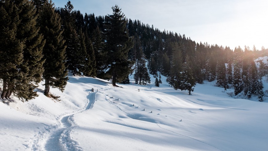 Sustainable holiday in the snow