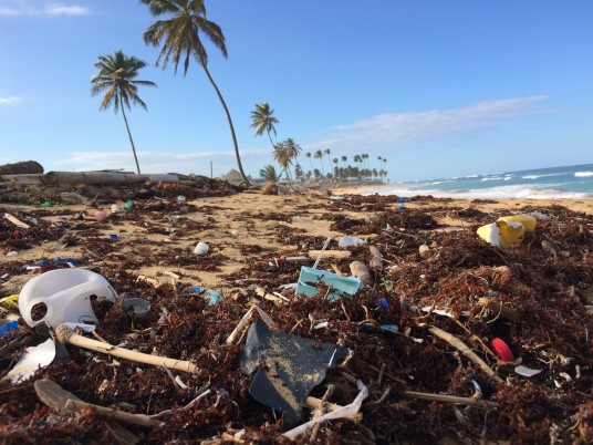 lots of garbage along the beach