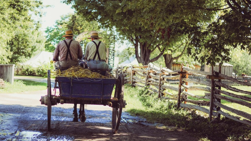 sustainable holiday working in a farm