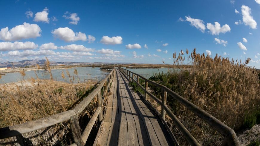 El Hondo Natural Park, Alicante nature attraction