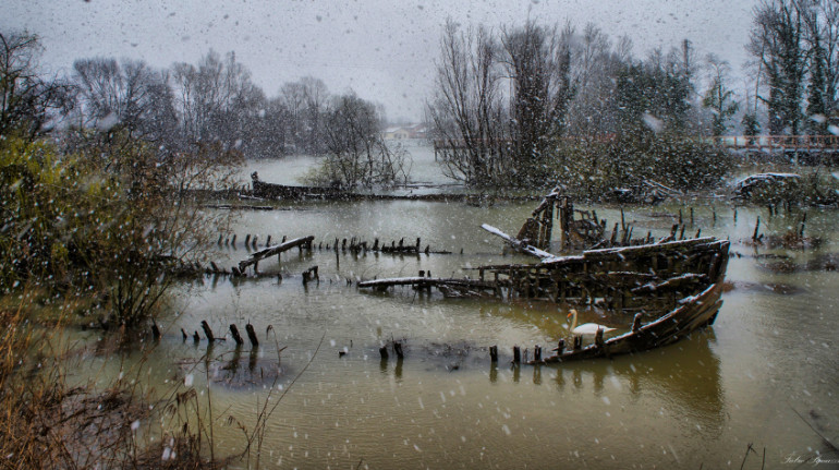 The greenway of river Sile