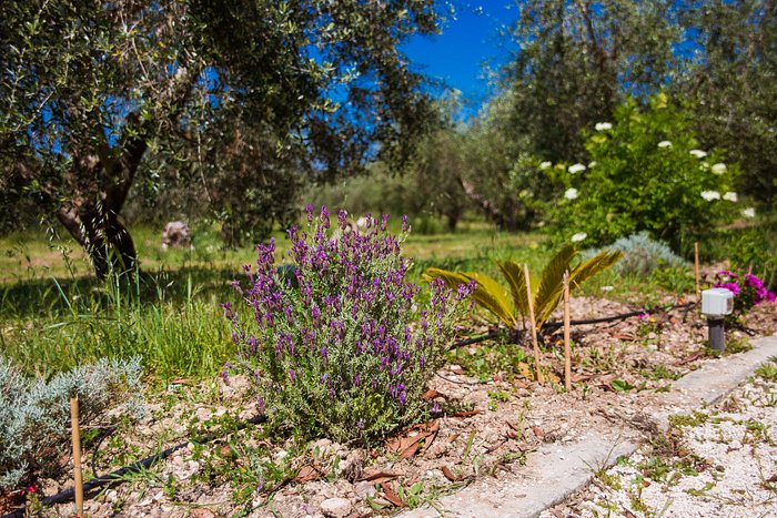 Agriturismo Piccapane