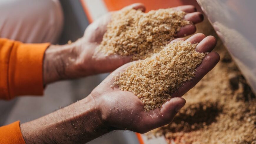 In the Marche region, to savor the oldest organic pasta in Italy