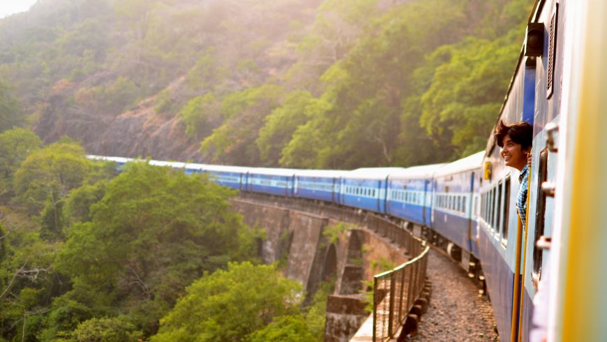 train sorrounded by nature