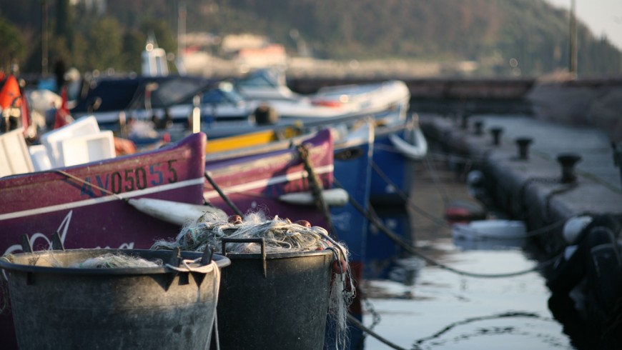 Boats for fishing