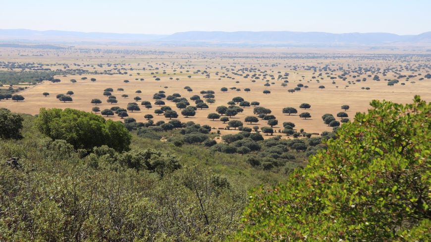 Cabañeros National park, arid, trees, desert, mountains, ecotourism Spain