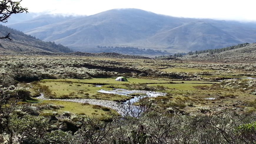 sierra nevada national park, ecotourism Spain, river, nature, vegetation