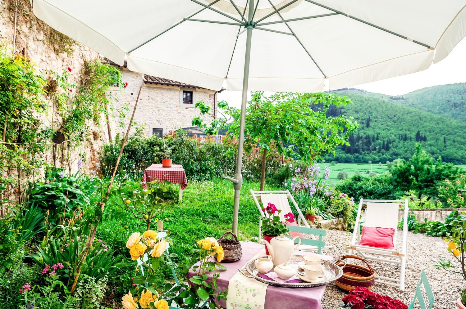 Organic Food tour in Italy