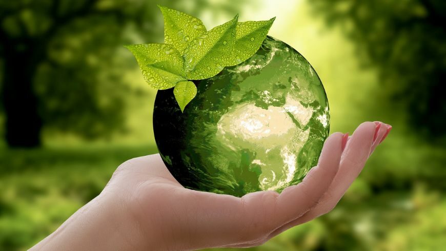 sustainable planet