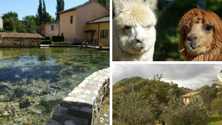 the "Path in the woods" farmhouse, in Assisi