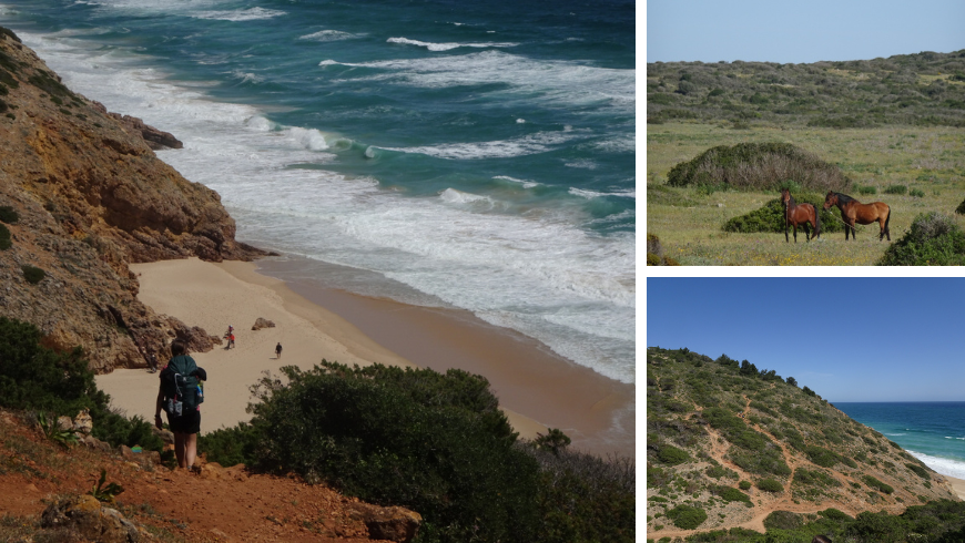 trail on the high coast and a beach