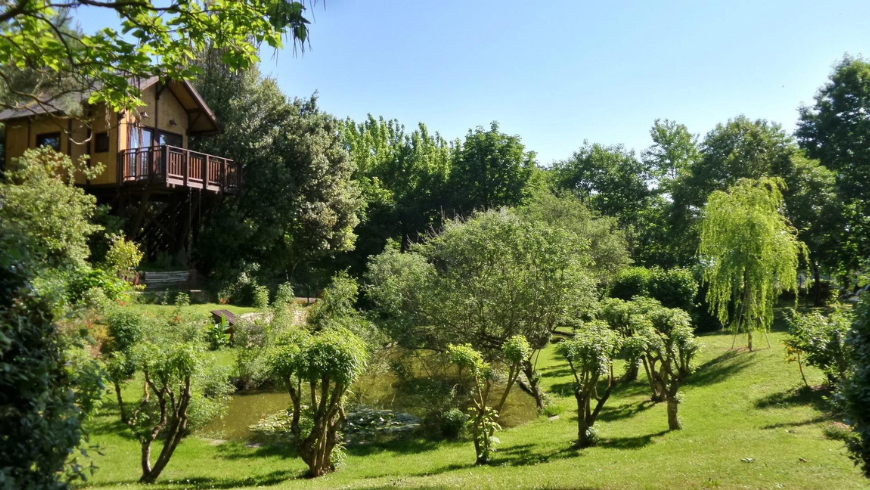 A Train Journey for a Weekend in a Treehouse