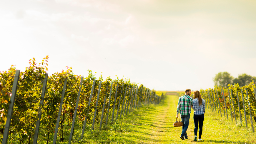 Escape for Two on a Farm in Italy