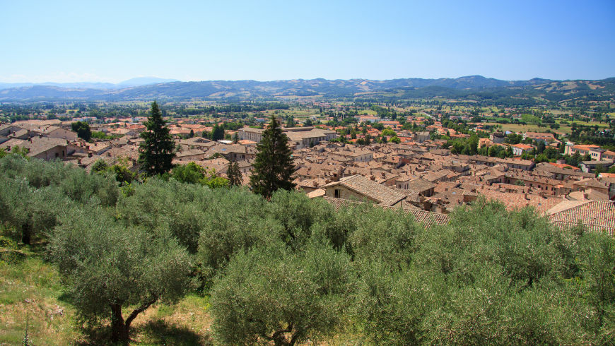 Hills of Gubbio - Dream Organic Farms Gubbio