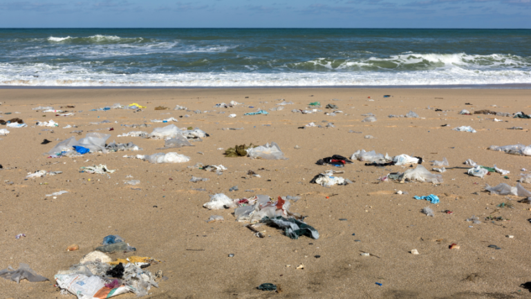 A polluted beach. This is a consequence of the overuse of plastic.